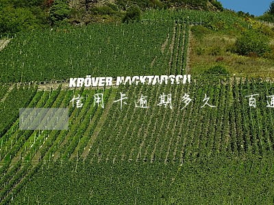 信用卡逾期多久 百通讯录 信用卡逾期多久 百通讯录